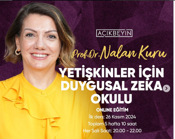 Yetişkinler İçin Duygusal Zeka Okulu